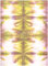 218.다색염색지(중)