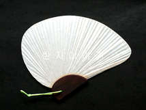 2.반달부채 (중) 