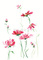 34.들꽃문양 <br> 300*390mm(총2컷) <br> 그림1개당 180*300mm 