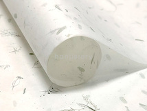 2.상록수지<br> 