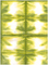 111.이색염색지(중)