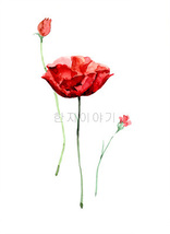25.들꽃문양  <br> 300*390mm(총2컷) <br> 그림1개당 180*300mm 