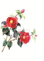 23.들꽃문양  <br> 300*390mm(총2컷) <br> 그림1개당 180*300mm 