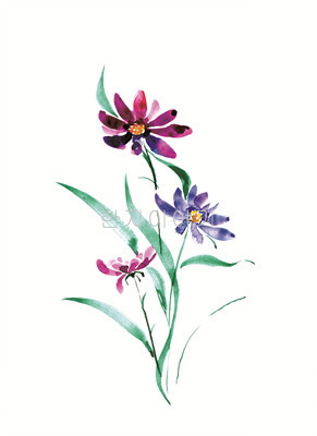 28.들꽃문양 <br> 300*390mm(총2컷) <br> 그림1개당 180*300mm 
