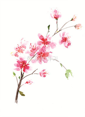 27.들꽃문양 <br> 300*390mm(총2컷) <br> 그림1개당 180*300mm