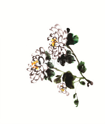 30.들꽃문양  <br> 300*390mm(총2컷) <br> 그림1개당 180*300mm 