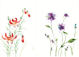 13.들꽃문양(직사각) <br> 300*390mm(총2컷) <br> 그림1개당 180*300mm
