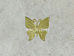 56.꼭지(황색-극소)