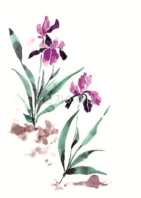 19.들꽃문양 <br> 300*390mm(총2컷) <br> 그림1개당 180*300mm