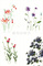 10.들꽃문양(직사각) <br> 280*430mm(총4컷) <br> 그림1개당 130*210mm 