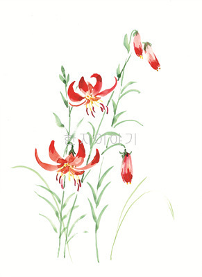 20.들꽃문양 <br> 300*390mm(총2컷) <br> 그림1개당 180*300mm