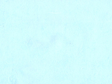 109.수제색한지