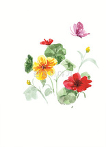 26.들꽃문양  <br> 300*390mm(총2컷) <br> 그림1개당 180*300mm 