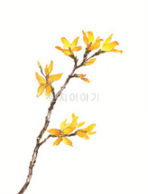 16.들꽃문양  <br> 300*390mm(총2컷) <br> 그림1개당 180*300mm 