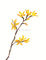 16.들꽃문양  <br> 300*390mm(총2컷) <br> 그림1개당 180*300mm 