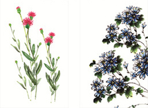 12.들꽃문양(직사각) <br> 300*390mm(총2컷) <br> 그림1개당 180*300mm 