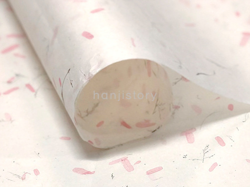 6.상록수지<br> 