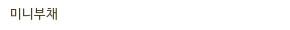 미니부채