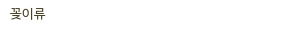 꽂이류